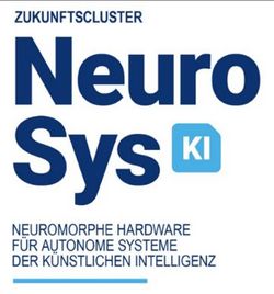 Bild: NeuroSys Cluster