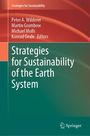 Buchcover der Neuerscheinung "Strategies of Sustainability of the Earth System. Bild: Springer Verlag